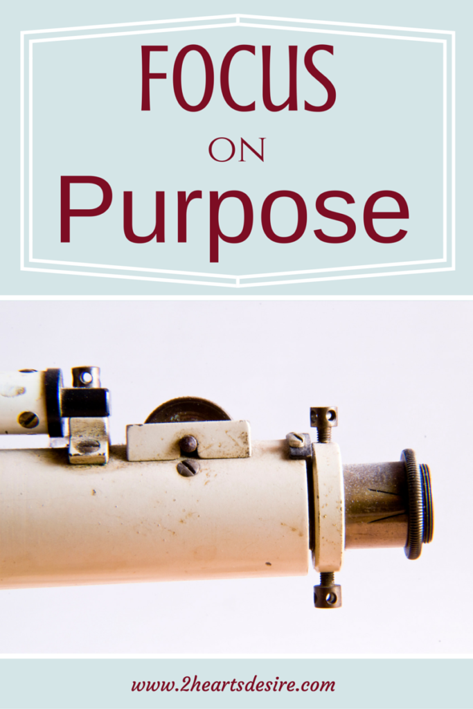 5 Steps on Purpose